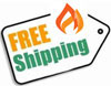 Free Shipping on all Realflame Fireplaces