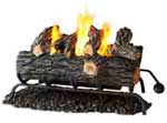 convert your wood fireplace to a Gel Fuel Fireplace - Here is How